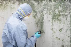 Lamar, AR Mold Prevention & Removal  Company